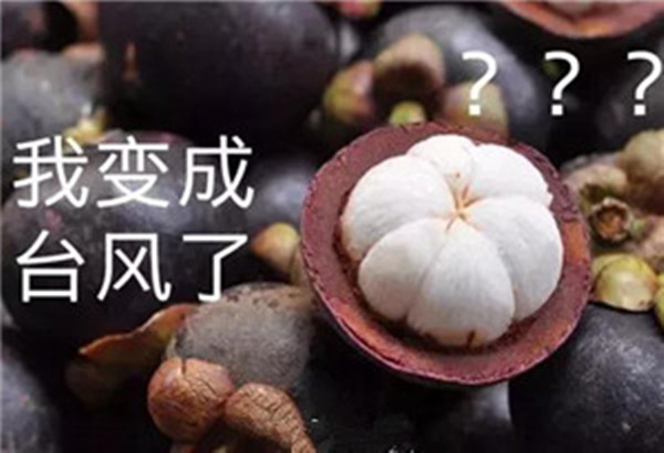“山竹”還未走遠，但貝朗全自動彎線機已正常上班啦！